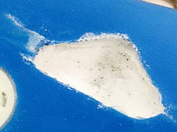 �|���G�X�e�� �t�B�� Future C5 4_2